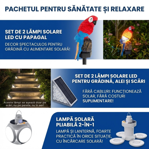 Pachetul Curtea Luminată: Iluminare și Decor pentru Exterior